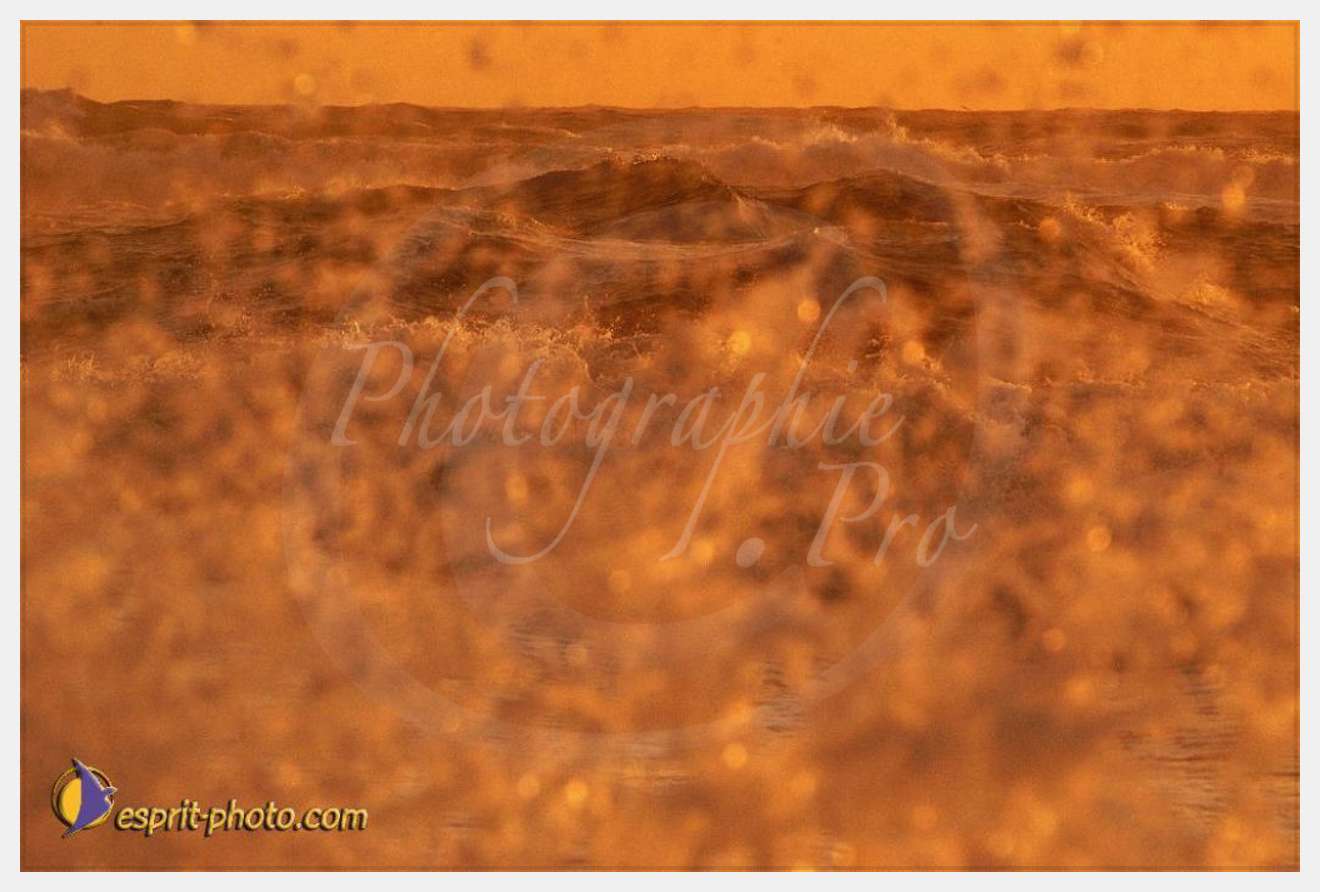 Nom de l'image : EP08-0379 — Description :