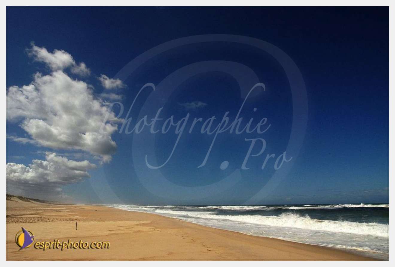 Nom de l'image : EP08-0393 — Description :