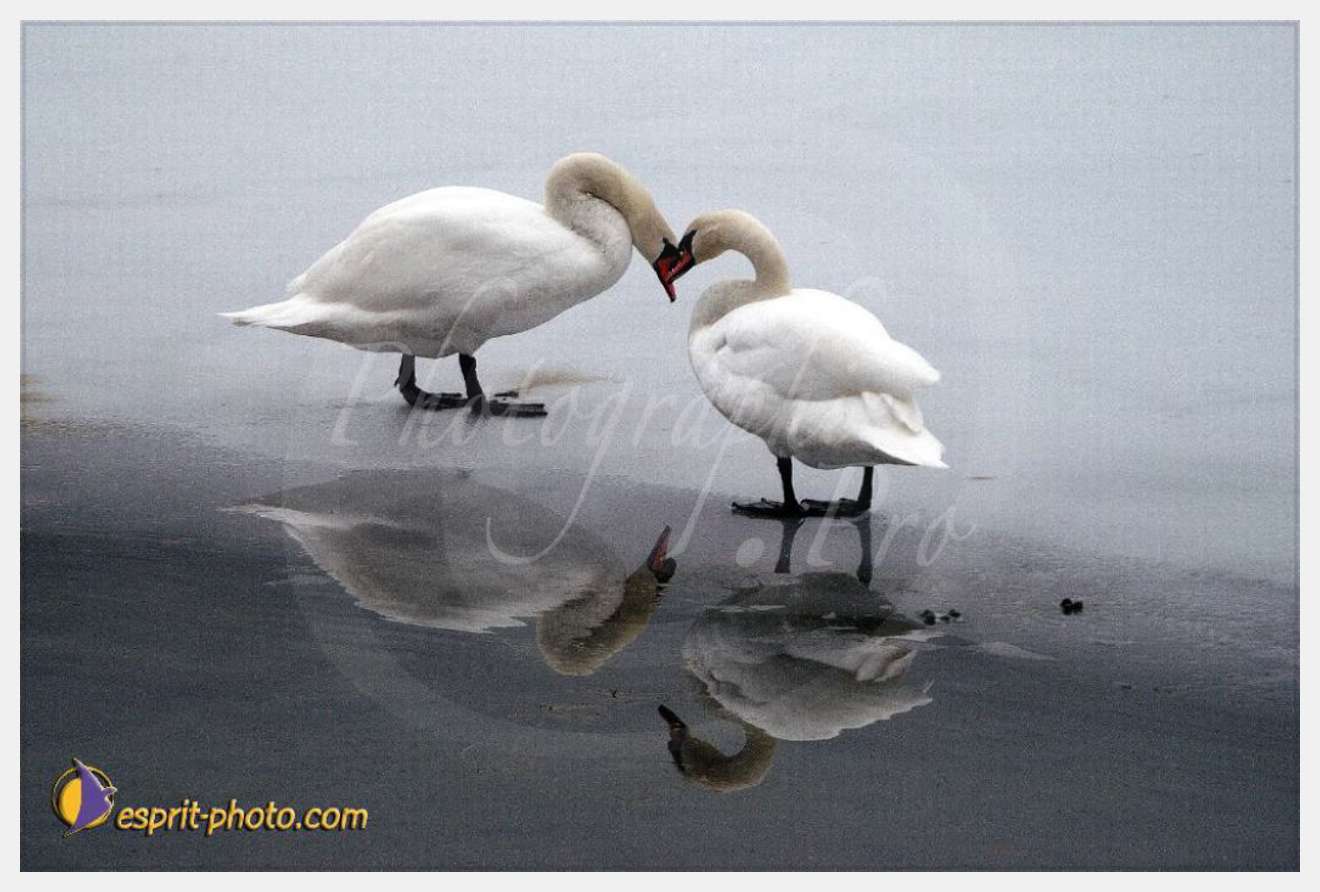 Nom de l'image : EP08-0400 — Description :