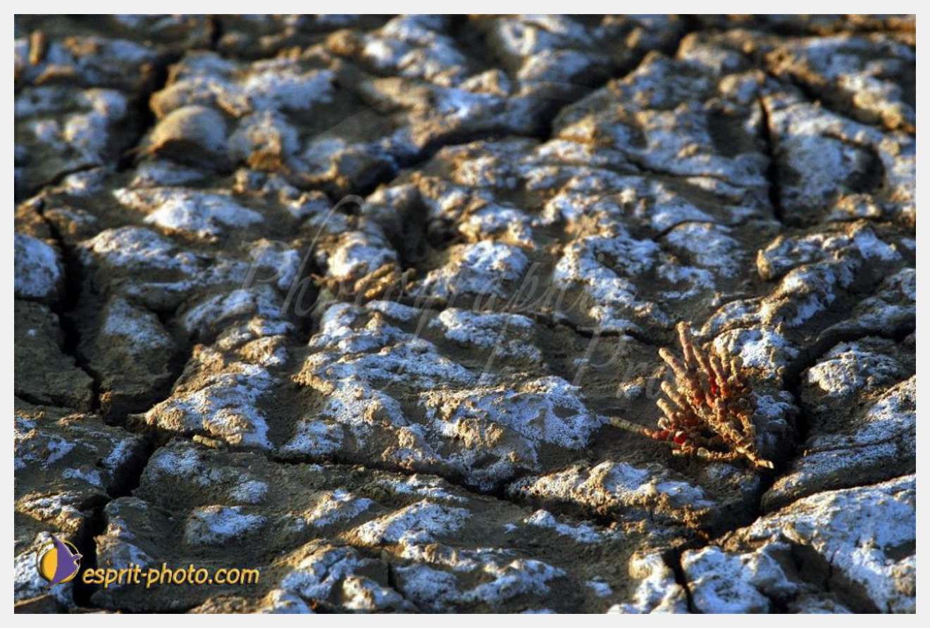 Nom de l'image : EP08-0402 — Description :