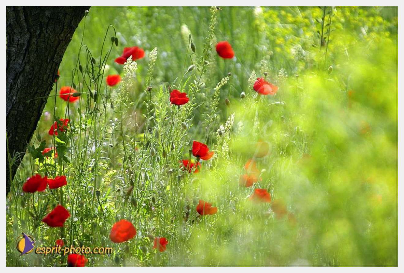 Nom de l'image : EP08-0406 — Description :