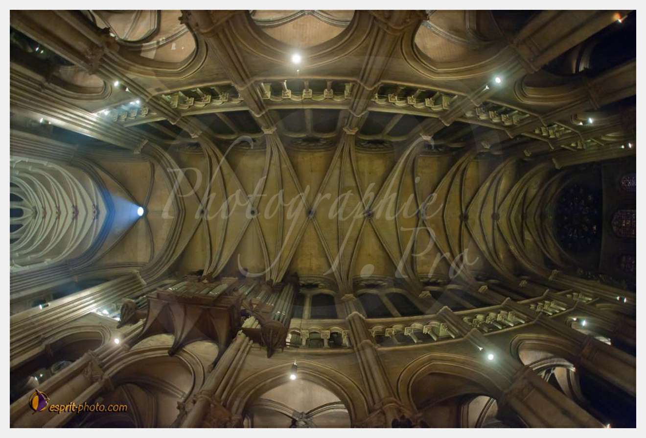 Nom de l'image : D30099246a-2 — Description :