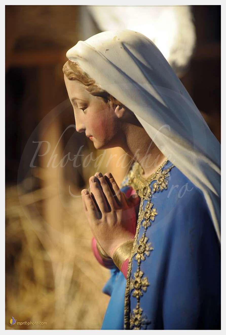 Nom de l'image : D30043112_1 — Description :