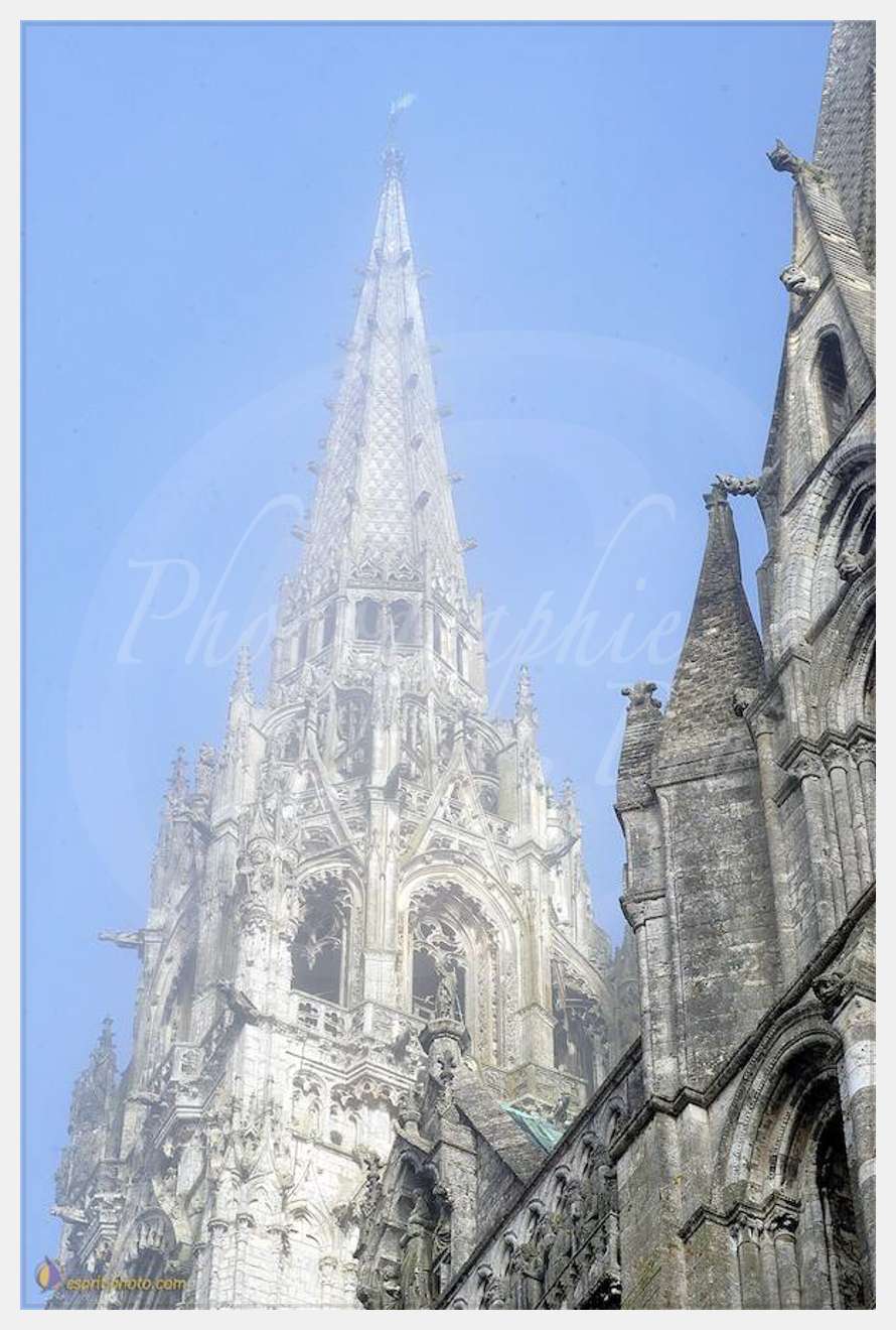 Nom de l'image : D1107482-nef-01 — Description :