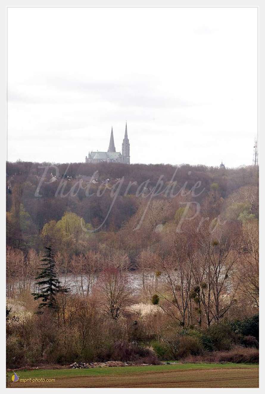 Nom de l'image : D1120175-01 — Description :  PE?lerinage de Chartres 2004