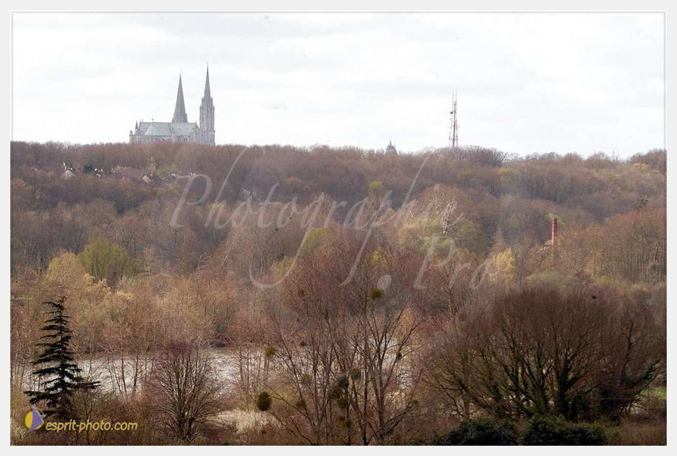 Nom de l'image : D1120177-01 — Description :  PE?lerinage de Chartres 2004
