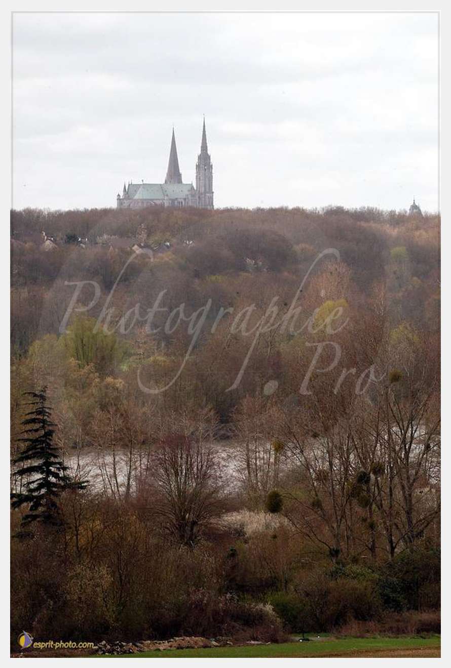 Nom de l'image : D1120180-01 — Description :  PE?lerinage de Chartres 2004