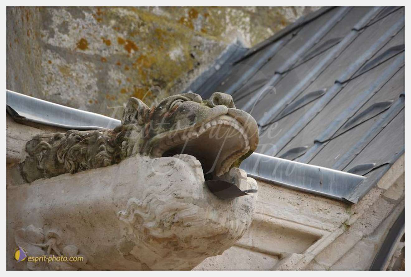 Nom de l'image : D30058146_1 — Description :