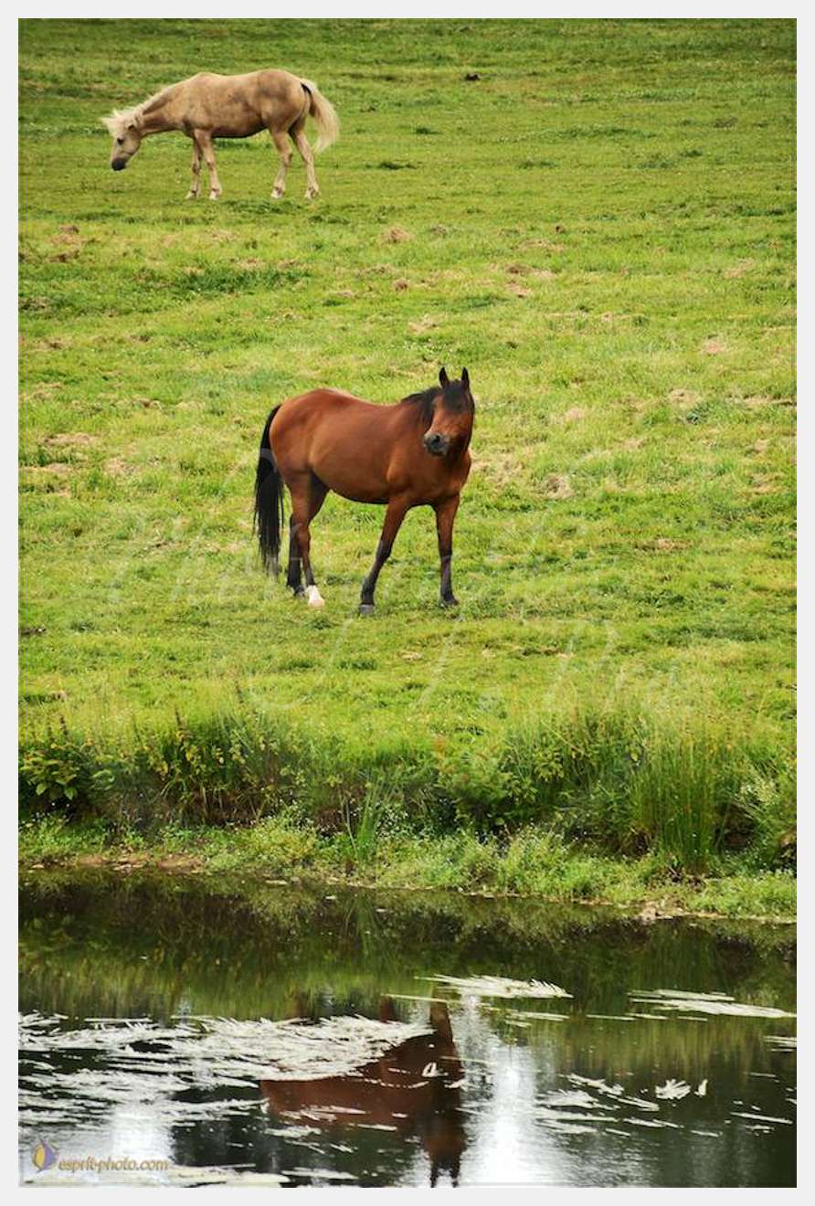 Nom de l'image : D30011778_1 — Description :