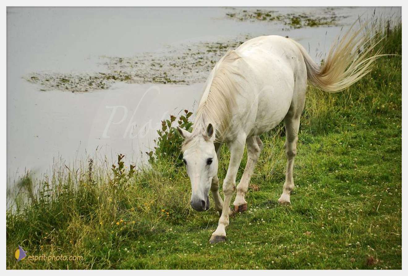 Nom de l'image : D30011780_1 — Description :