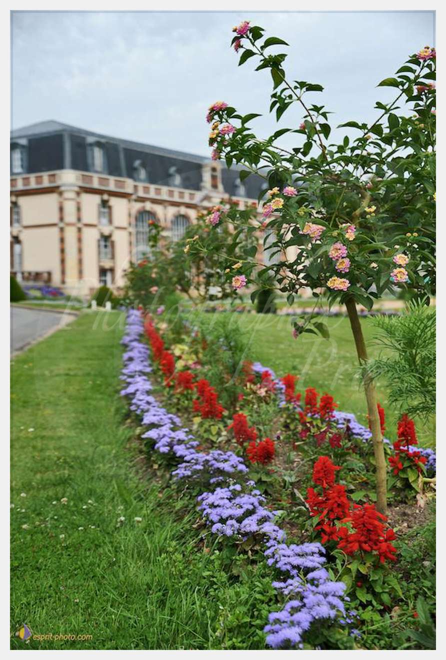 Nom de l'image : D30011828_1 — Description :