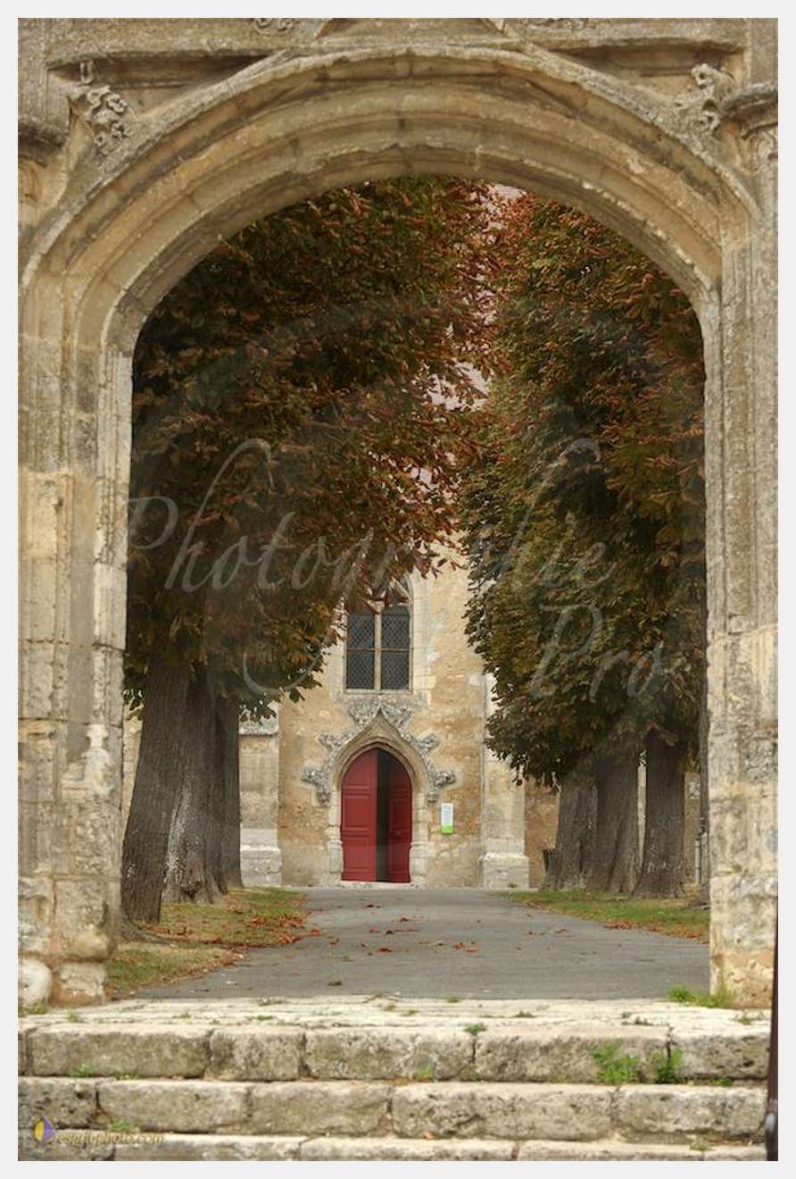 Nom de l'image : D30080431_1 — Description :