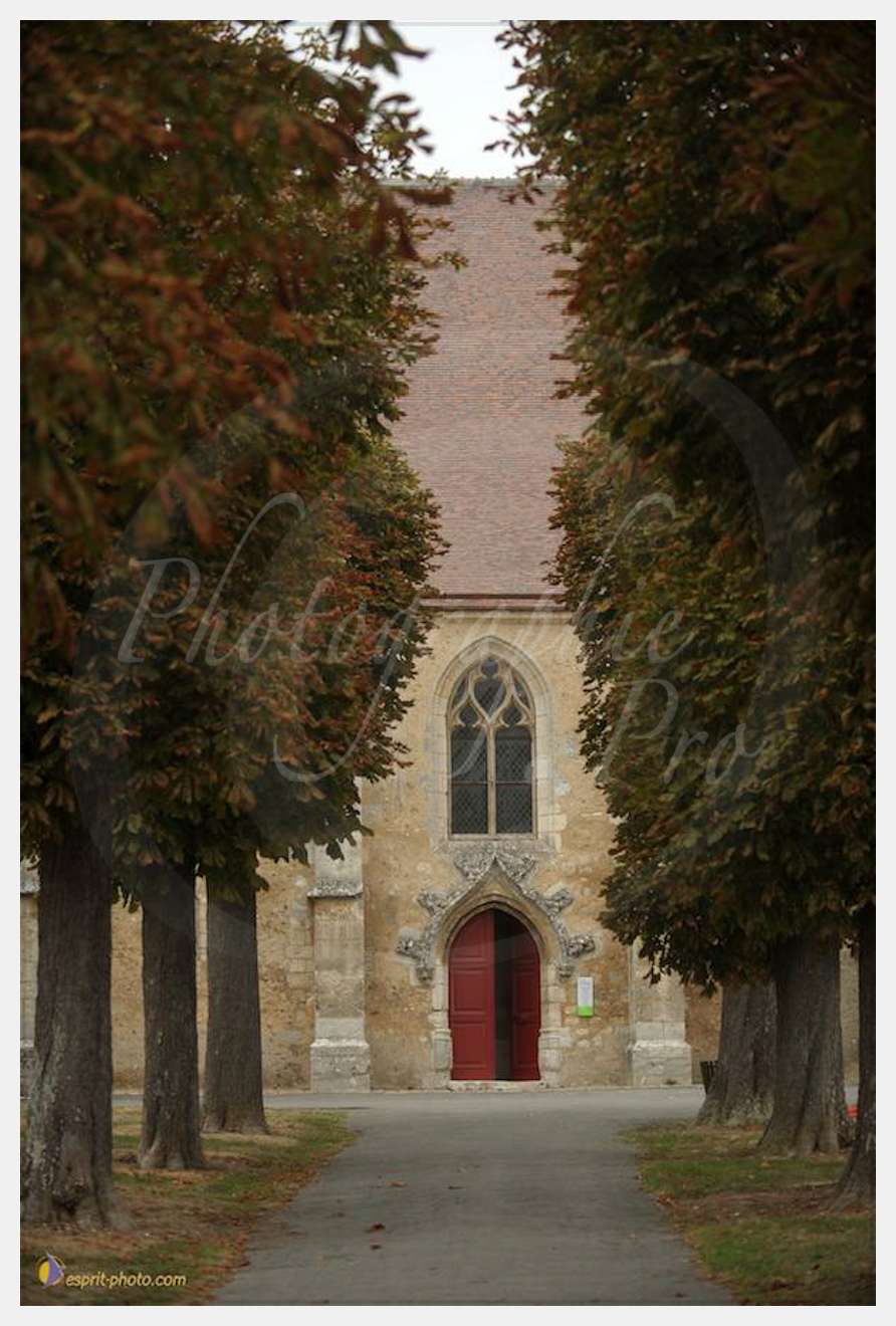 Nom de l'image : D30080435_1 — Description :