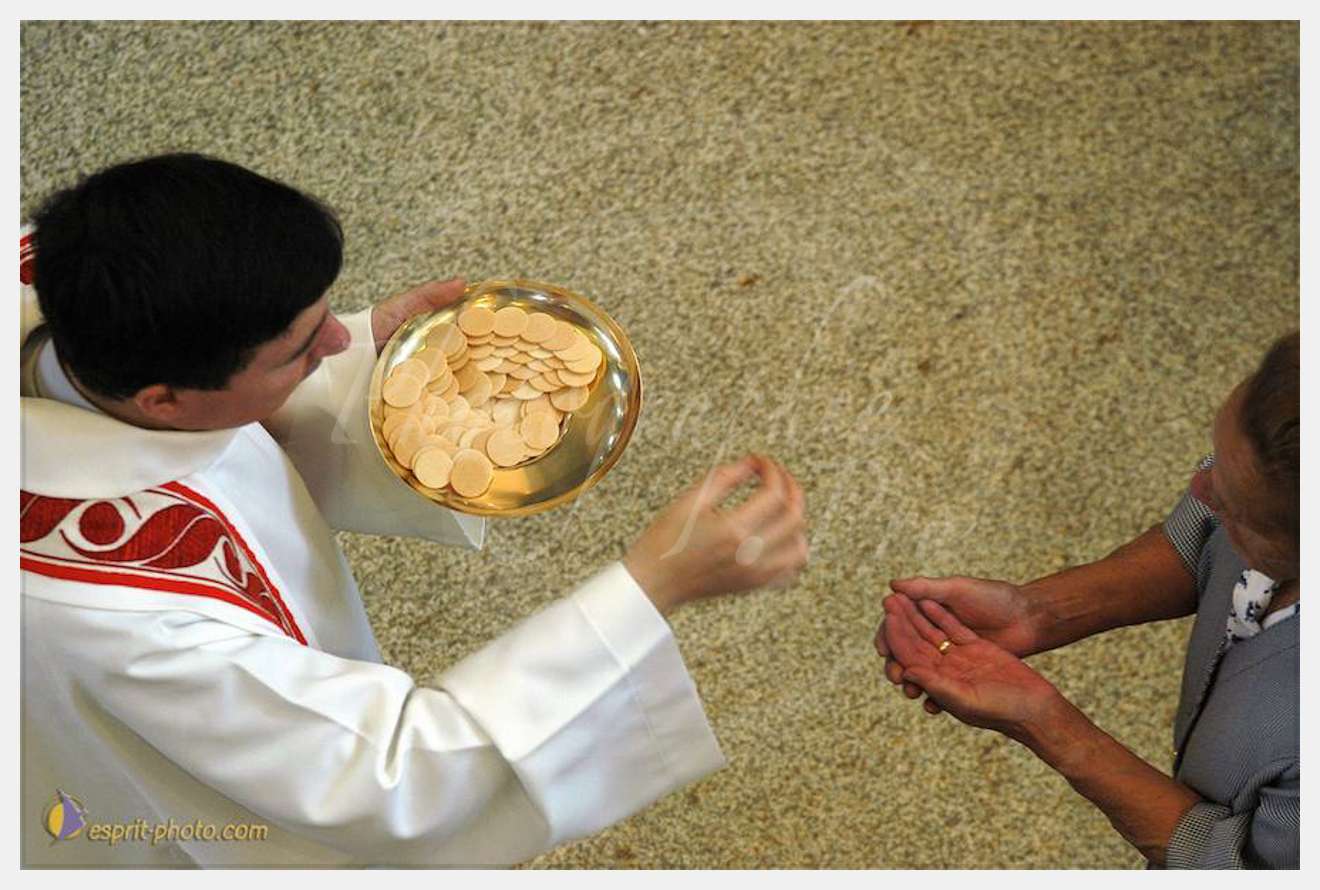 Nom de l'image : D1144197-01 — Description :