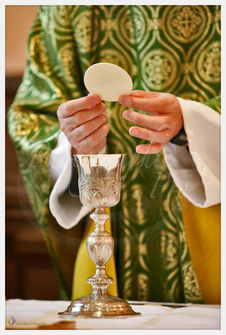 Nom de l'image : CEii0489_1 — Description :  TEST Canon EOS-1Ds Mark II aus Sables d'Olonne