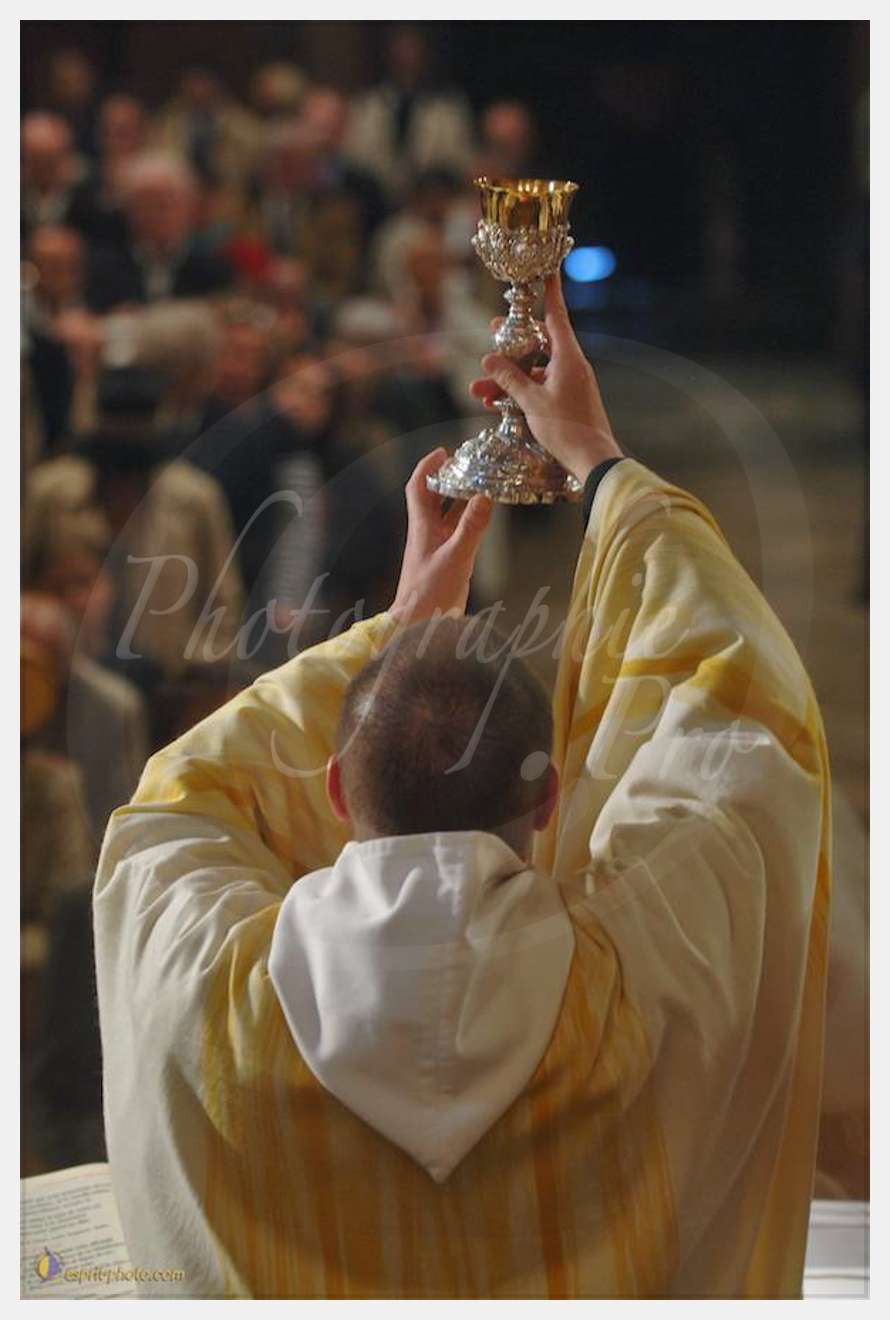 Nom de l'image : D2185271_1 — Description :