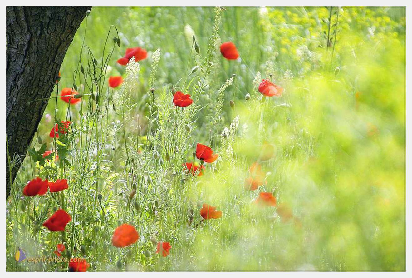 Nom de l'image : D1034160-1-A3 — Description :