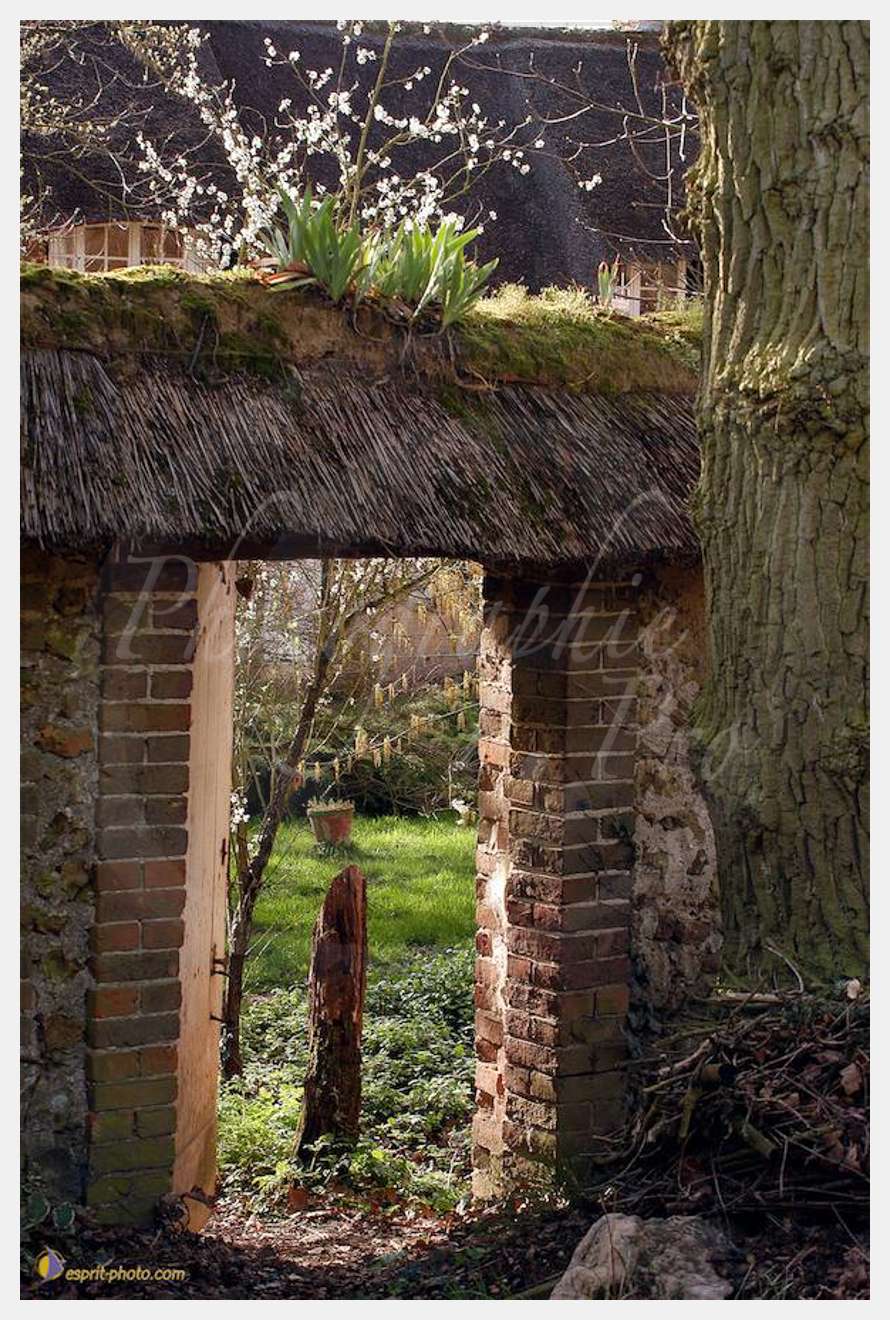 Nom de l'image : D1120018-01 — Description :  PE?lerinage de Chartres 2004