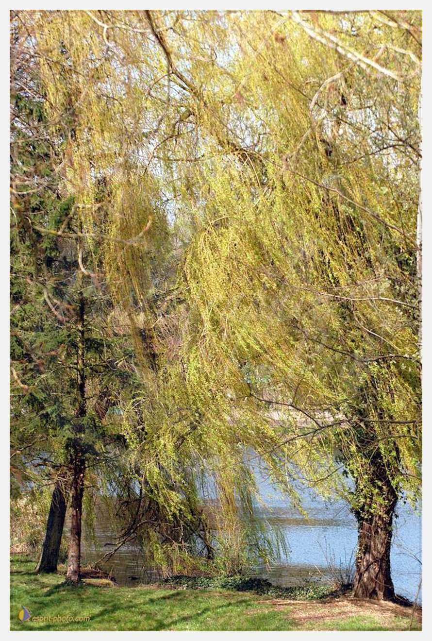 Nom de l'image : D1120303-01 — Description :  PE?lerinage de Chartres 2004