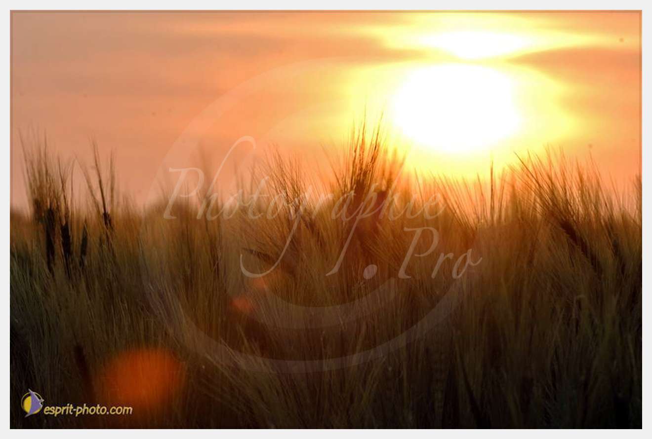 Nom de l'image : D2225140_1 — Description :