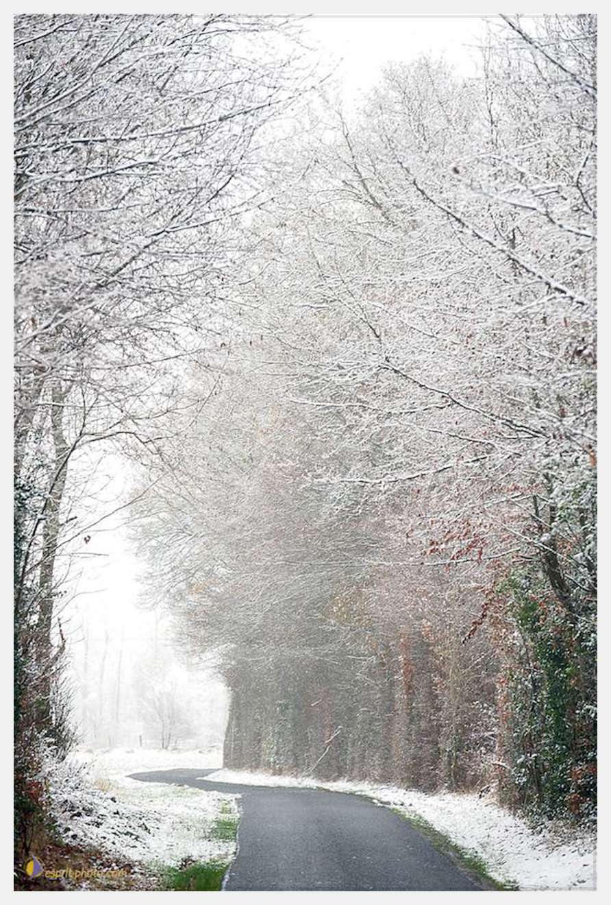 Nom de l'image : D30038018_1 — Description :