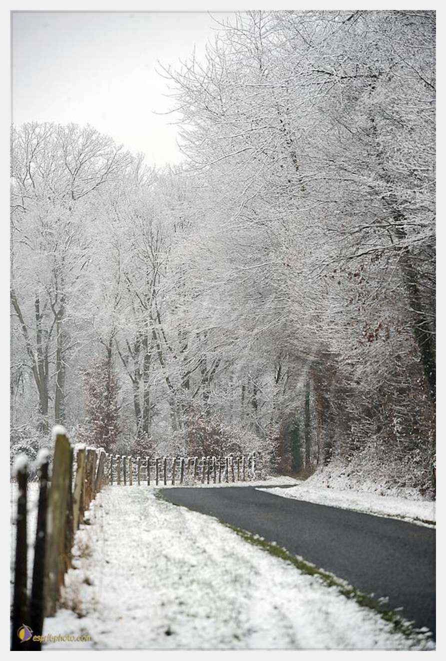 Nom de l'image : D30038031_1 — Description :