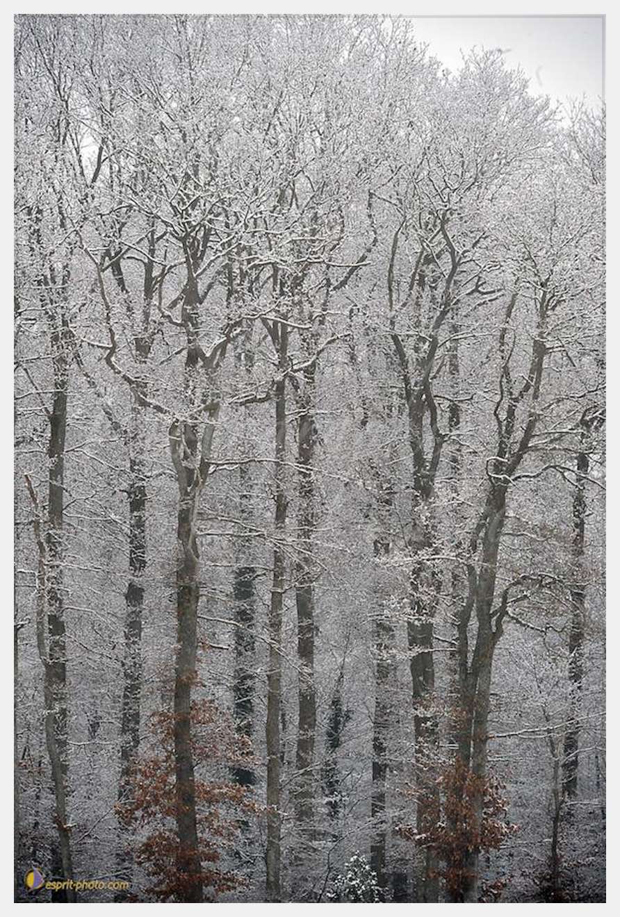 Nom de l'image : D30038053_1 — Description :