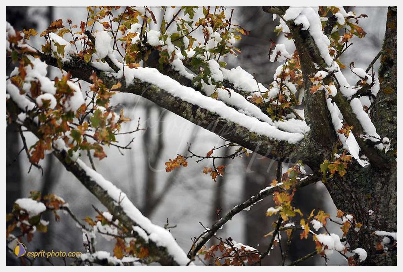 Nom de l'image : D30038057_1 — Description :