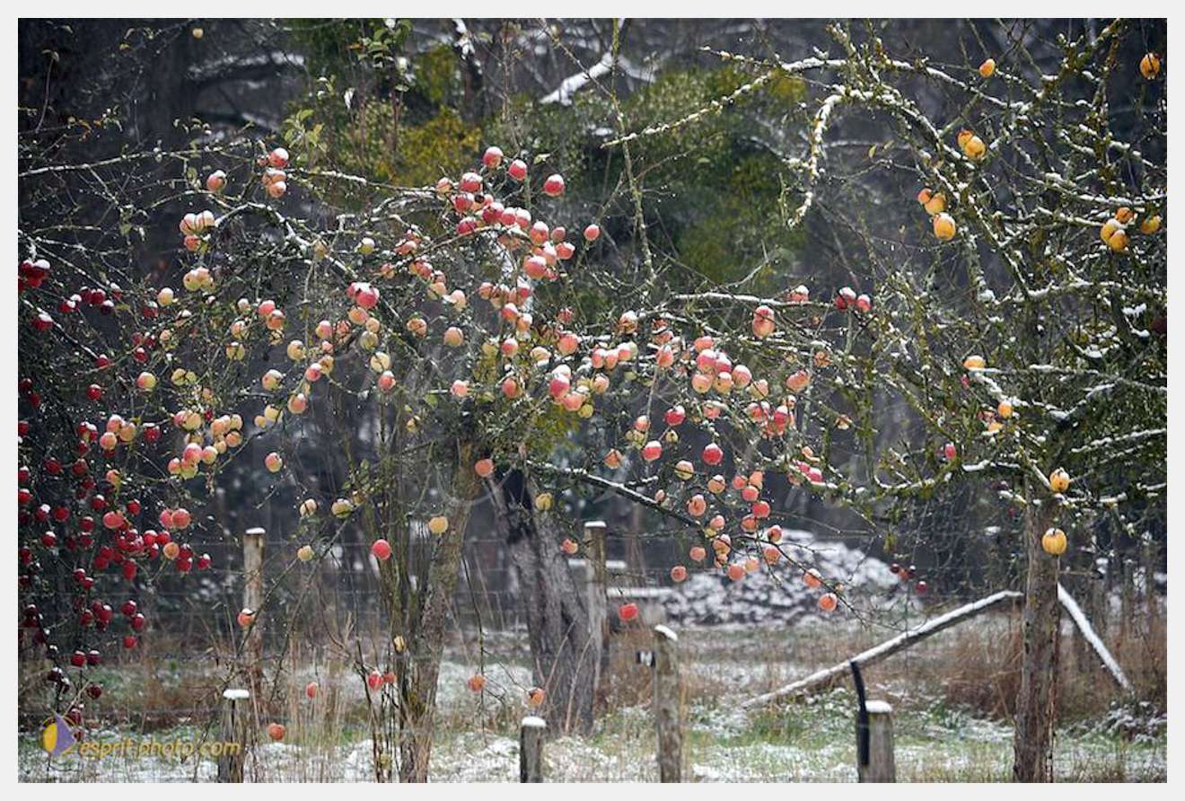 Nom de l'image : D30038081_1 — Description :