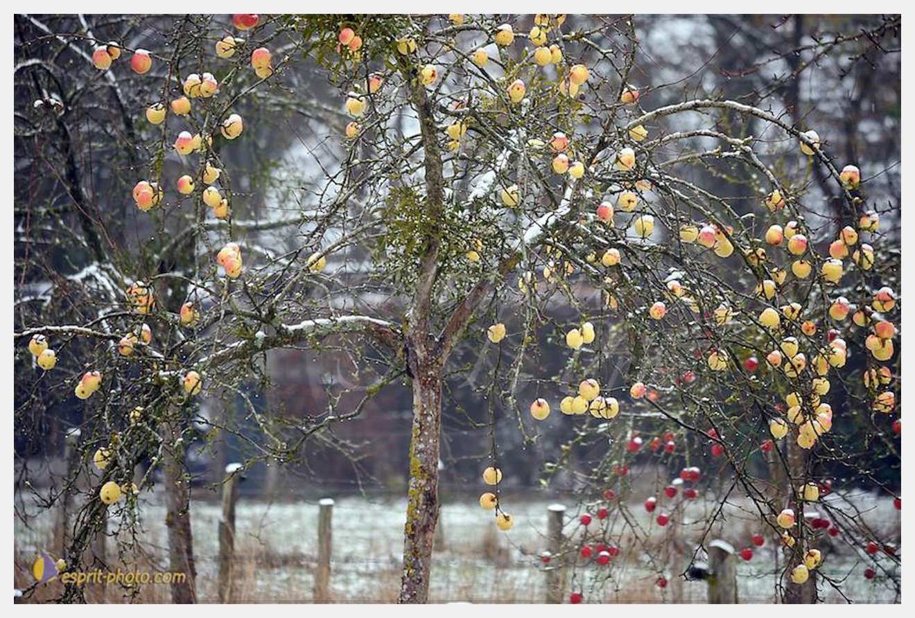 Nom de l'image : D30038084_1 — Description :