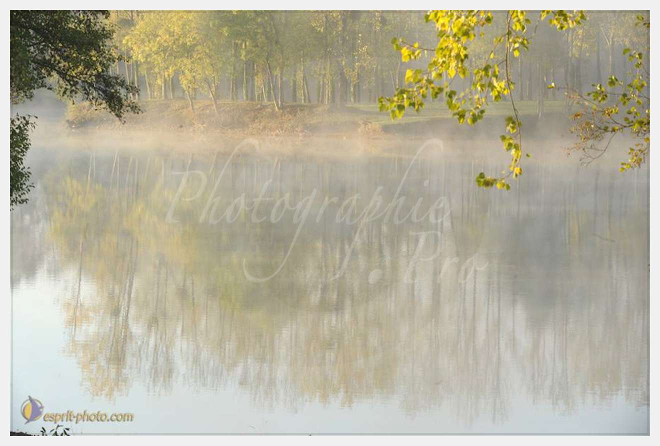 Nom de l'image : D30082689_1 — Description :