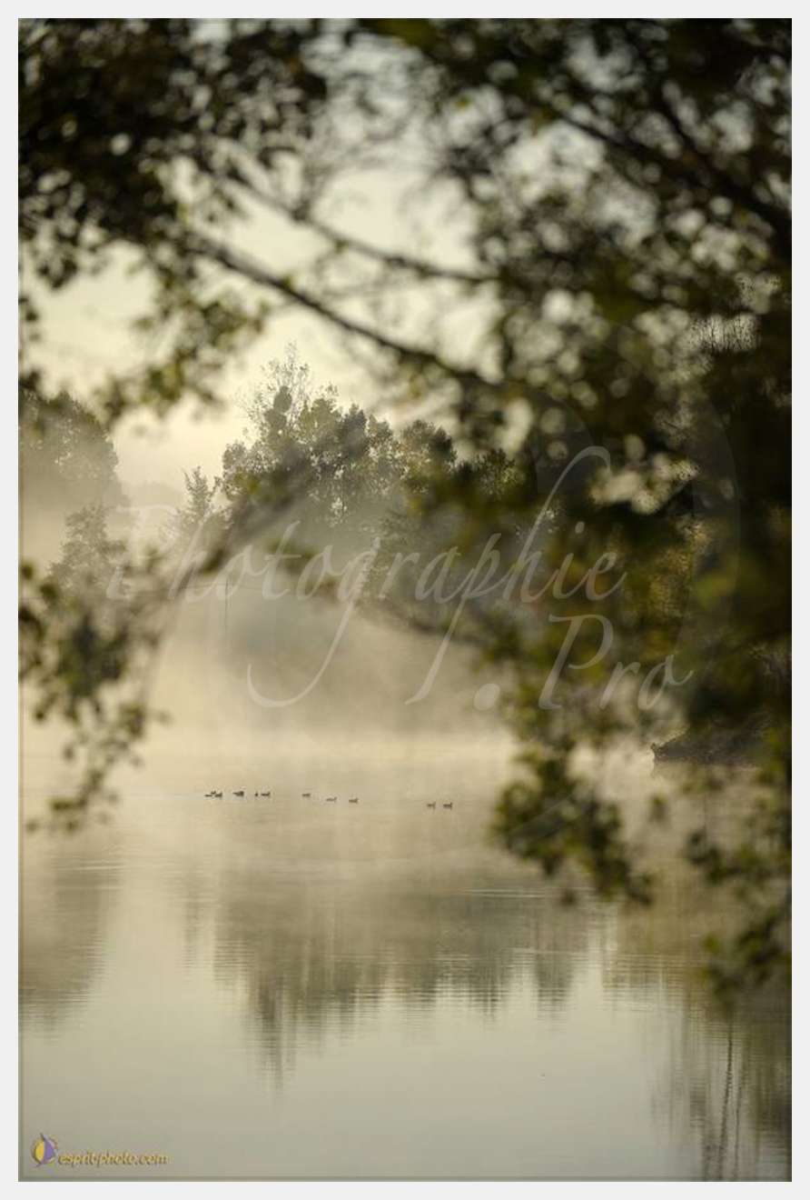 Nom de l'image : D30082733_1 — Description :