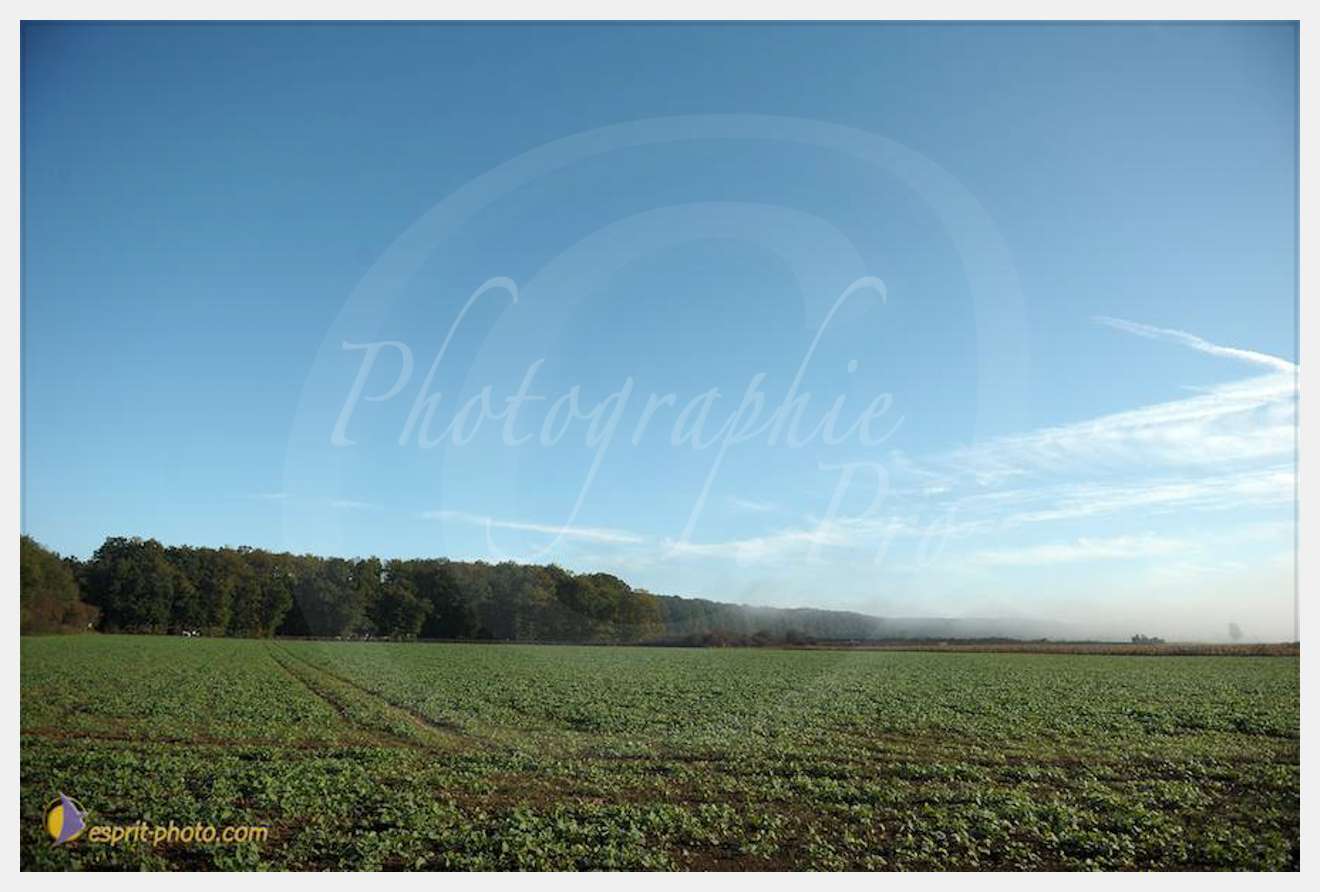 Nom de l'image : D30082957_1 — Description :