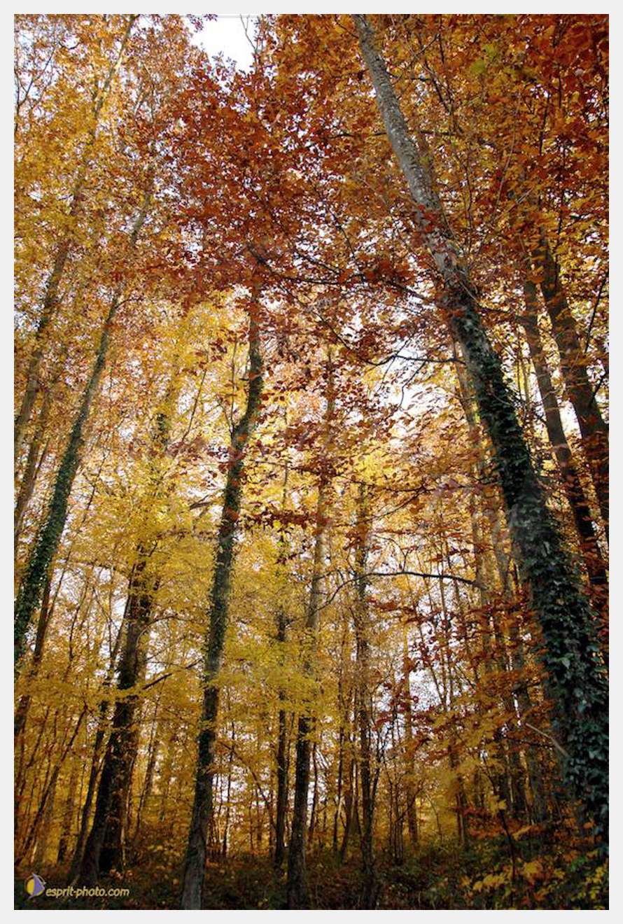 Nom de l'image : E2067738_1 — Description :