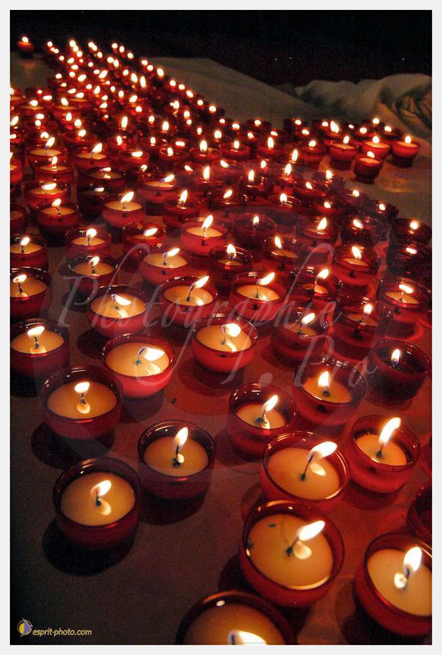 Nom de l'image : D1057692 — Description :  Chemin Neuf - Abbaye d'Hautecombe - Festival des jeunes