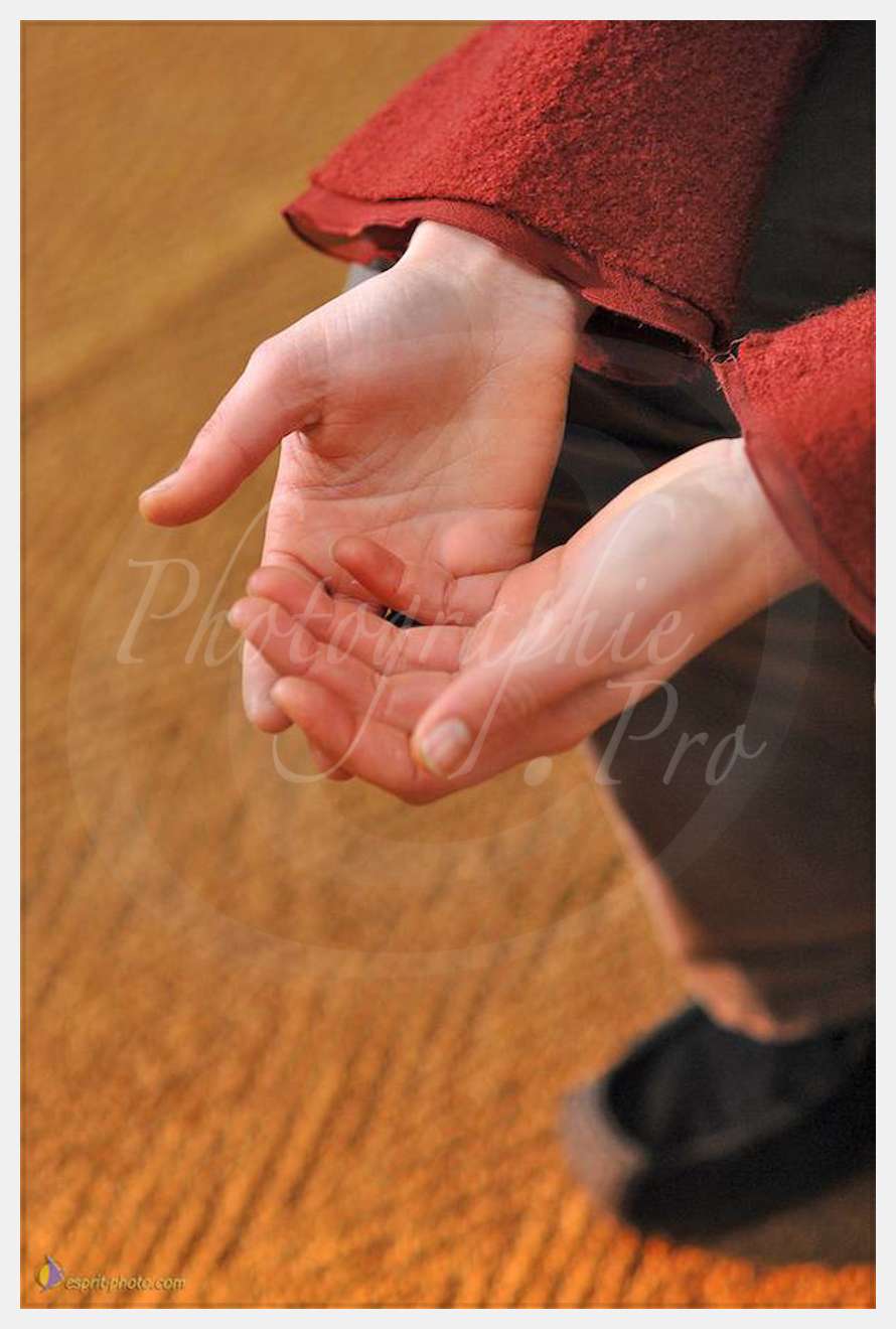 Nom de l'image : D2134600_1 — Description :