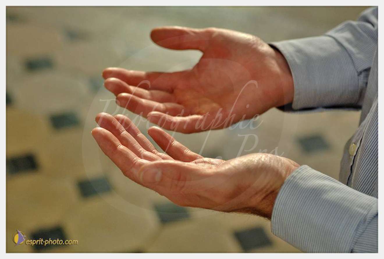 Nom de l'image : D2134720_1 — Description :