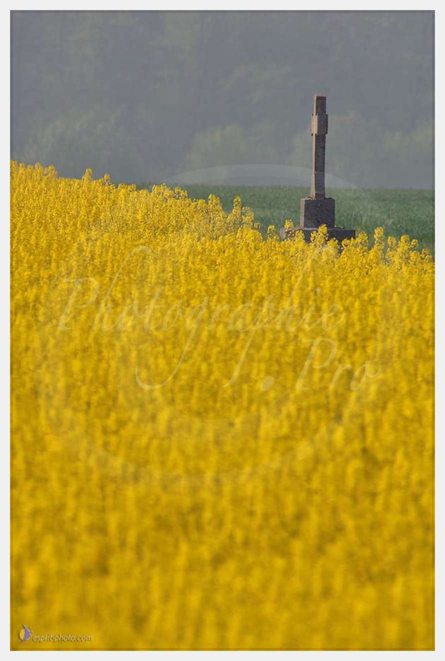 Nom de l'image : D2162598_1 — Description :