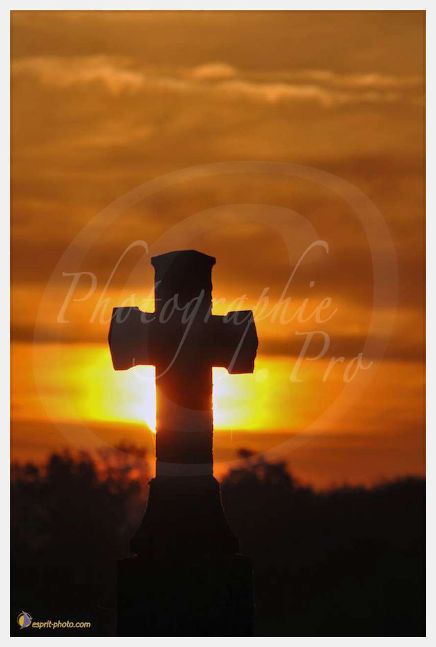 Nom de l'image : D2188221_1 — Description : Croix