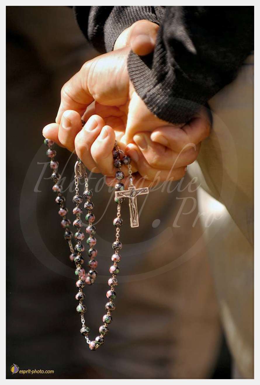 Nom de l'image : D2238759_1 — Description :