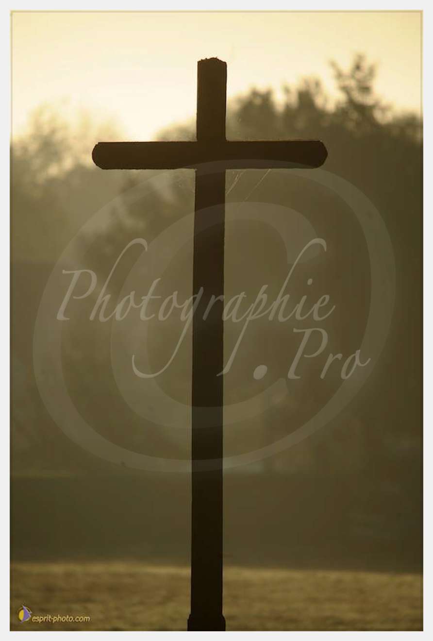 Nom de l'image : D30082705_1 — Description :