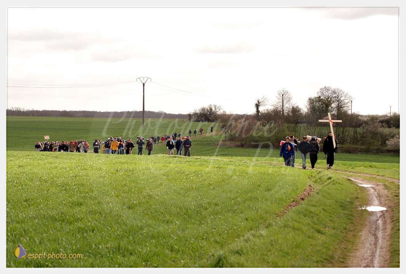 Nom de l'image : D1120170-01 — Description :  PE?lerinage de Chartres 2004
