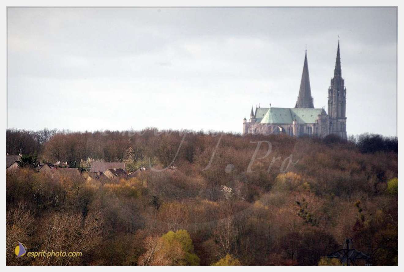 Nom de l'image : D1120185-01-2 — Description :  PE?lerinage de Chartres 2004