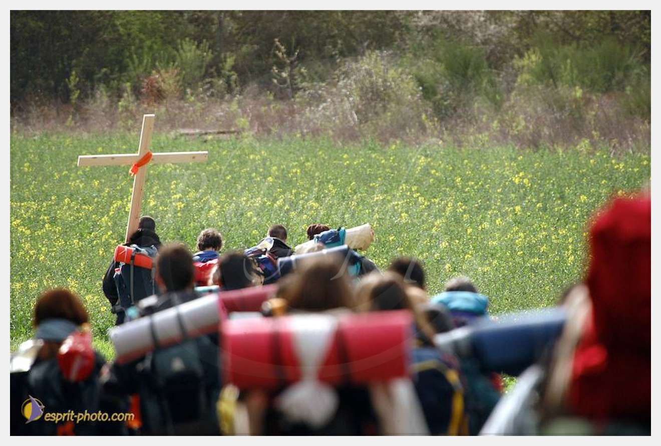 Nom de l'image : D1120210-01 — Description :  PE?lerinage de Chartres 2004