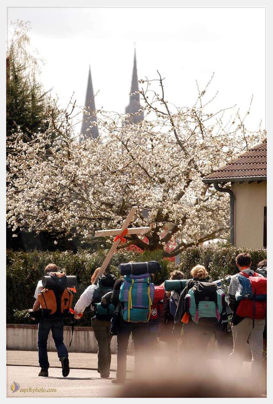 Nom de l'image : D1120417-01 — Description :  PE?lerinage de Chartres 2004