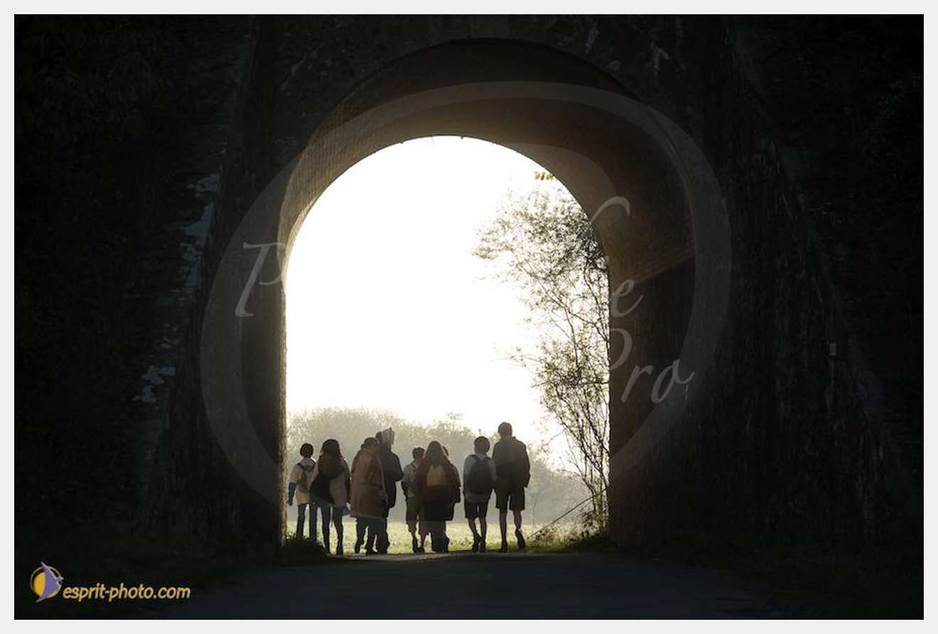 Nom de l'image : D30082932_1 — Description :