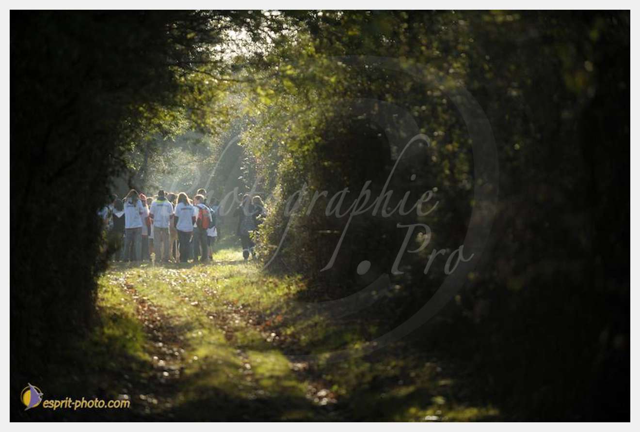 Nom de l'image : D30082979_1 — Description :