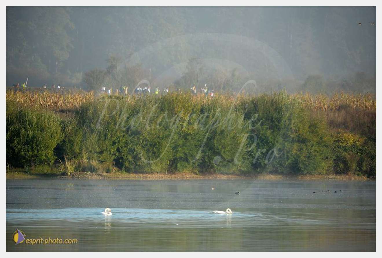 Nom de l'image : D30082989_1 — Description :