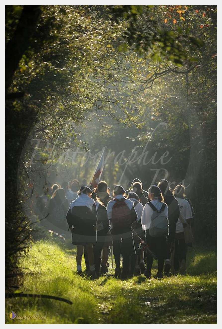 Nom de l'image : D30083002_1 — Description :