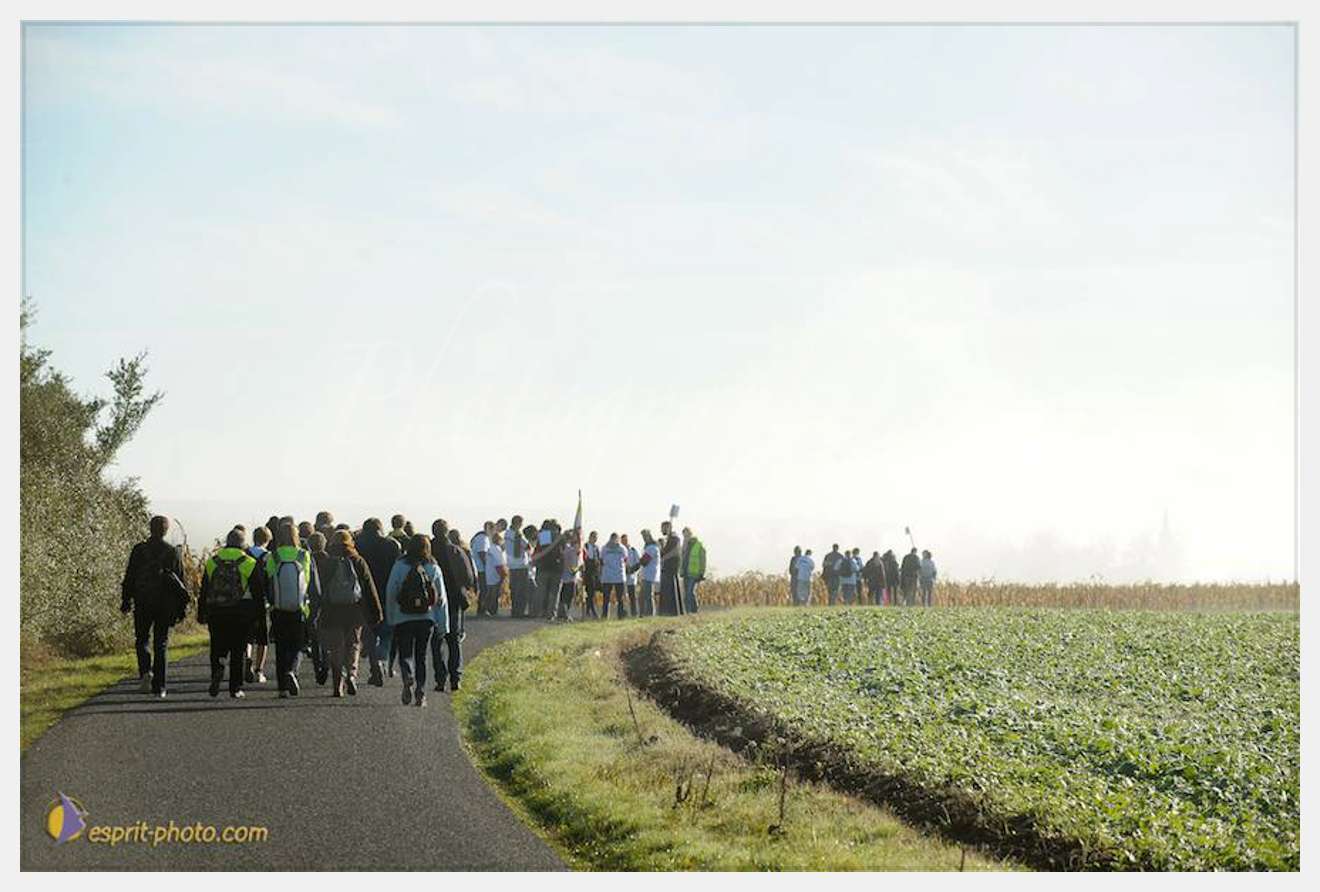 Nom de l'image : D30083030_1 — Description :